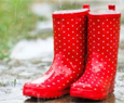 Wellington boots in the rain